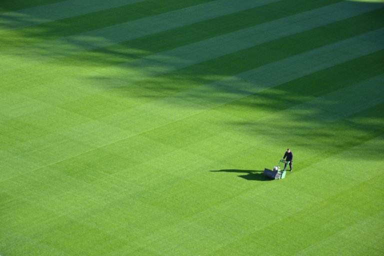 Hundreds of Lawn Care Professionals Rely on Connecteam for Daily Business & Management Needs